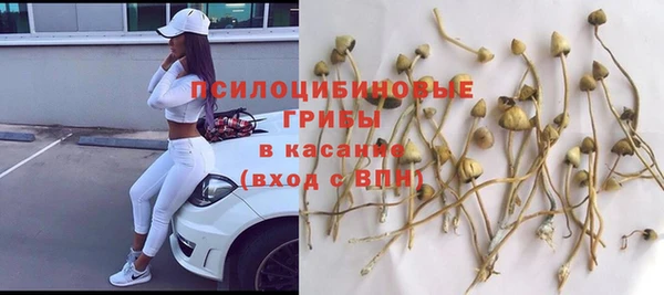 СК Белокуриха