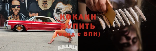 прущие грибы Беломорск