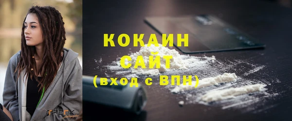 прущие грибы Беломорск