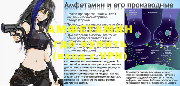 прущие грибы Беломорск