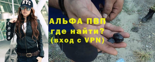 ПСИЛОЦИБИНОВЫЕ ГРИБЫ Белоозёрский