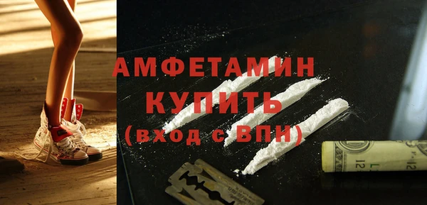 прущие грибы Беломорск